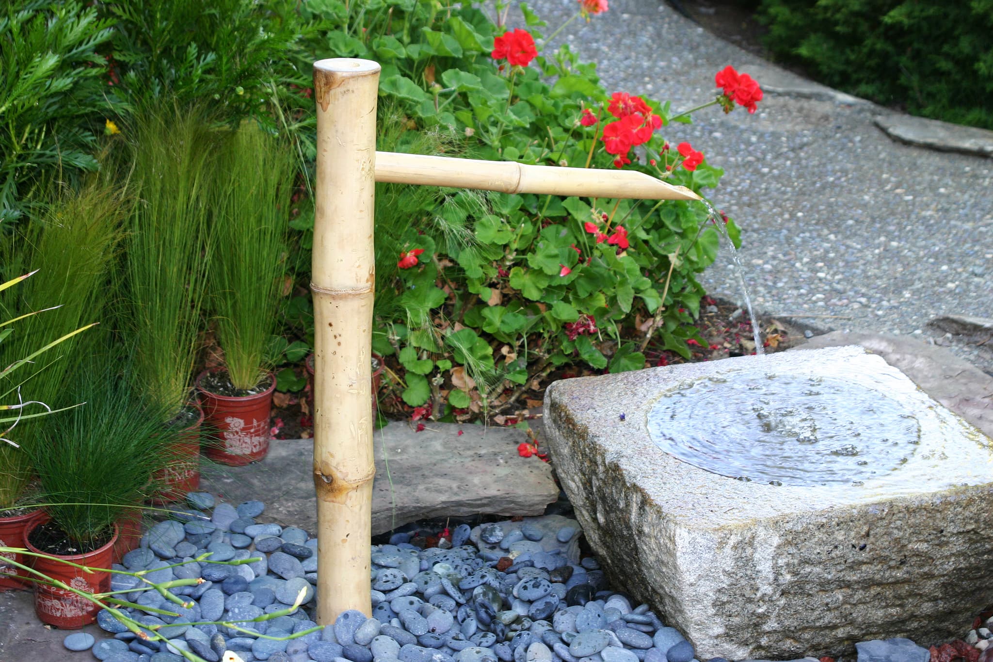 36" Traditional
